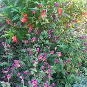 Meet your Posher, Jose